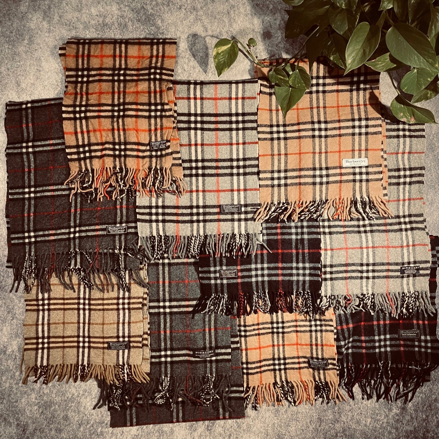 Burberry Scarves